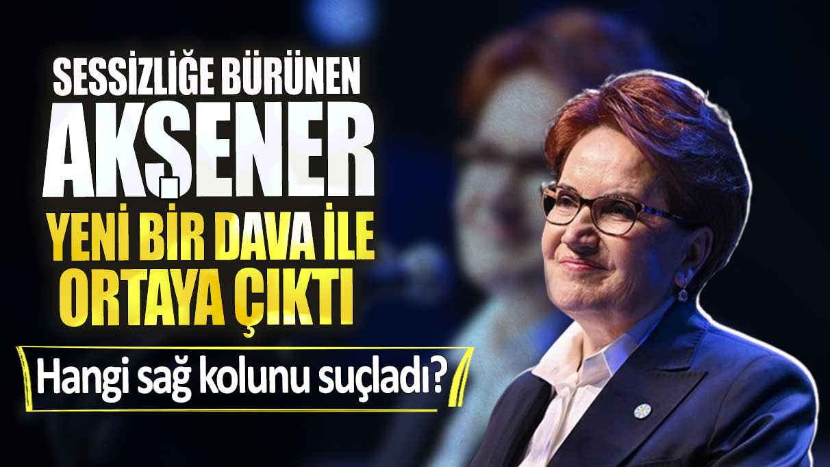 Akşener yeni bir dava ile ortaya çıktı. Hangi sağ kolunu suçladı