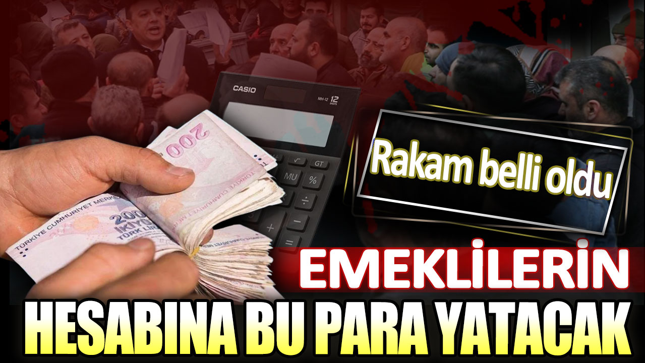 Emeklilerin hesabına bu para yatacak. Rakam belli oldu