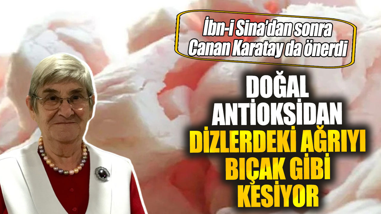 İbn-i Sina’dan sonra Canan Karatay da önerdi! Doğal antioksidan dizlerdeki ağrıyı bıçak gibi kesiyor