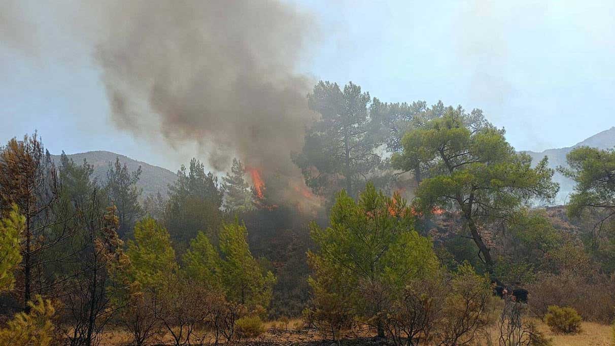 Muğla’da orman yangını. Dur durak bilmiyor
