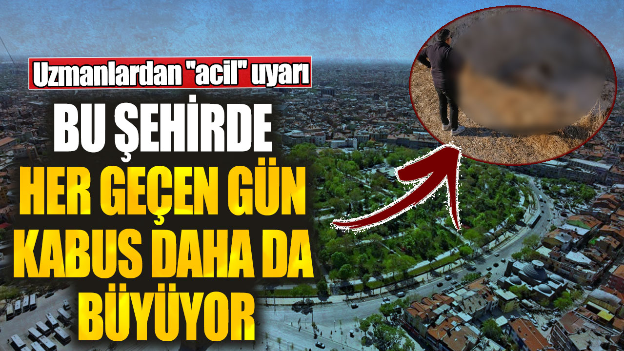 Bu şehirde her geçen gün kabus daha da büyüyor! Uzmanlardan ''acil'' uyarı