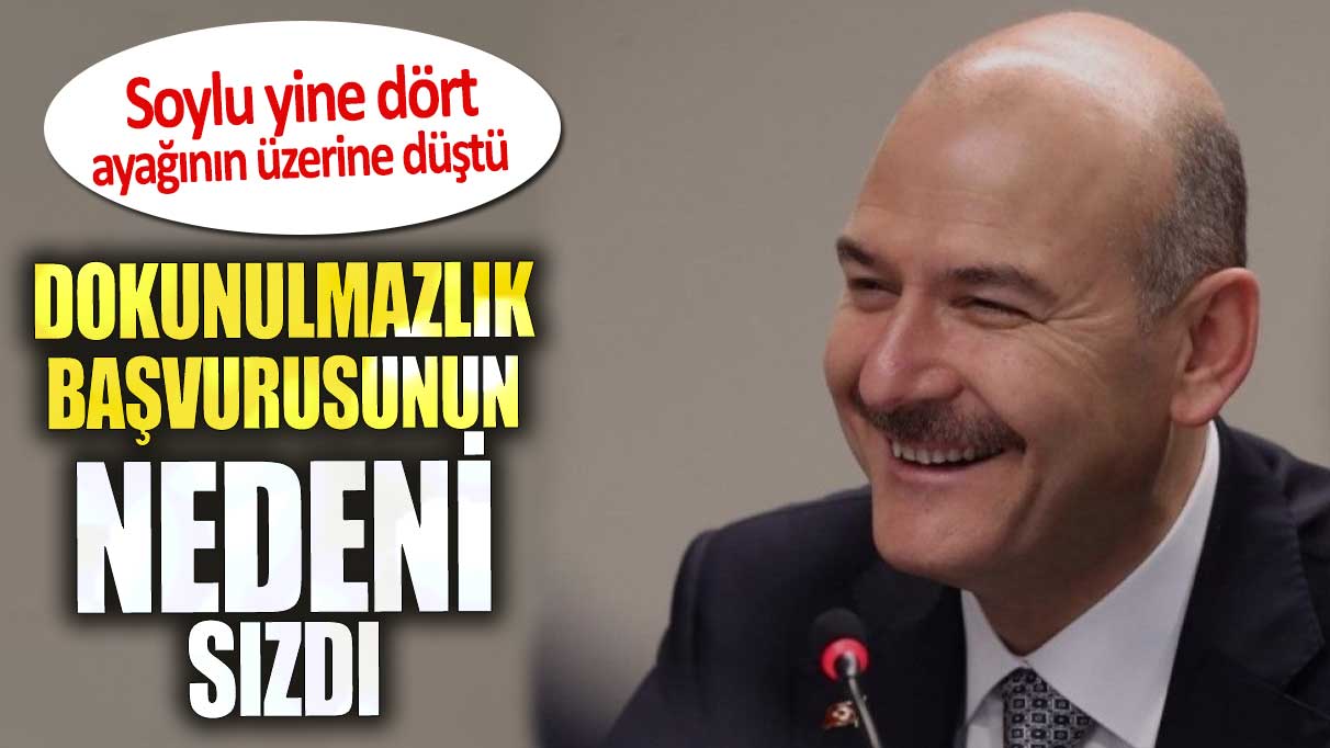 Süleyman Soylu yine dört ayağının üzerine düştü.  Dokunulmazlık hamlesinin nedeni sızdı