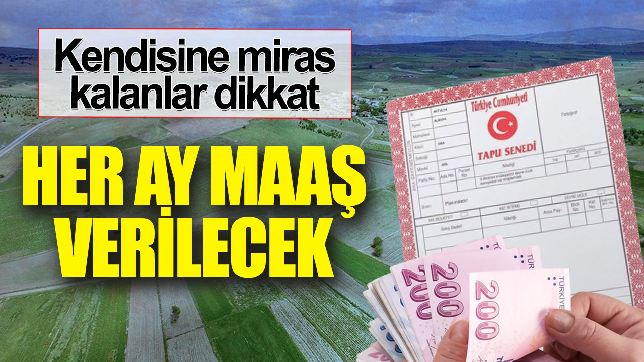 Kendisine miras kalanlar dikkat. Her ay maaş verilecek