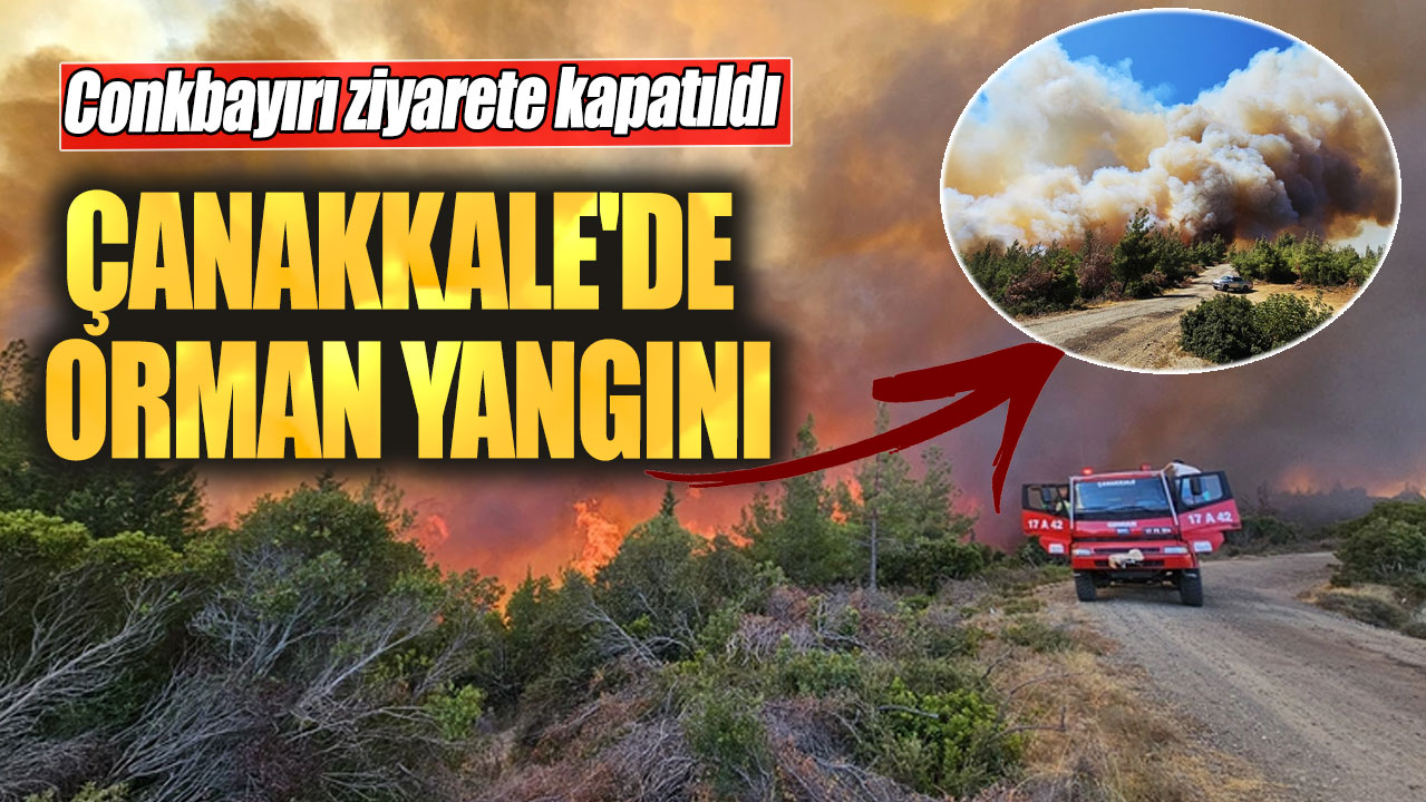 Çanakkale'de orman yangını! Conkbayırı ziyarete kapatıldı