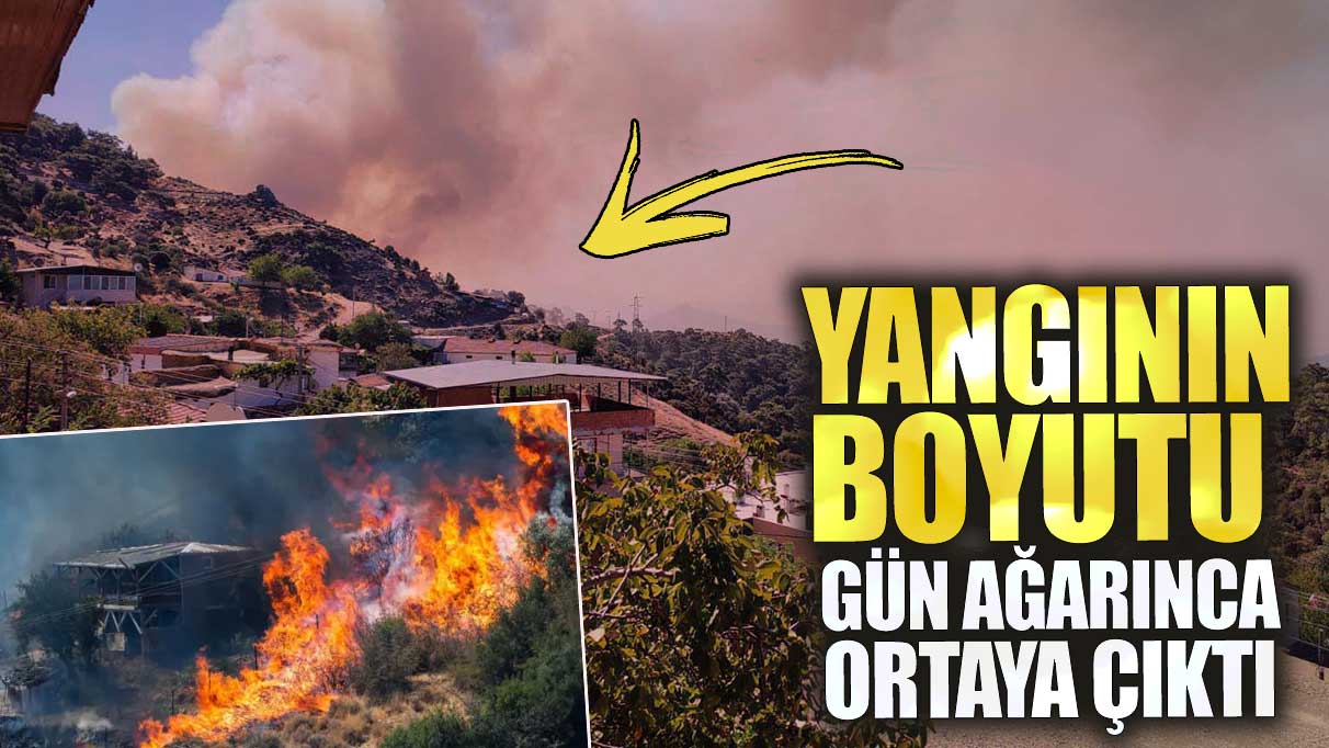 İzmir'deki yangının boyutu gün ağarınca ortaya çıktı