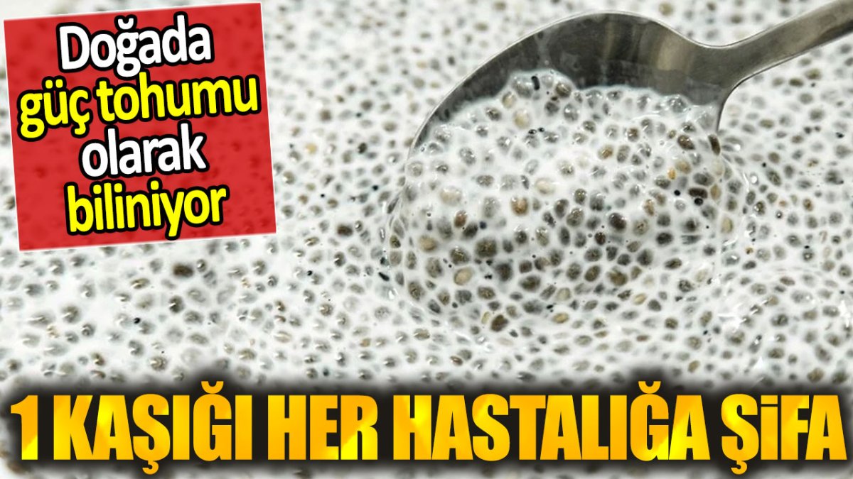 1 kaşığı her hastalığa şifa. Doğada güç tohumu olarak biliniyor