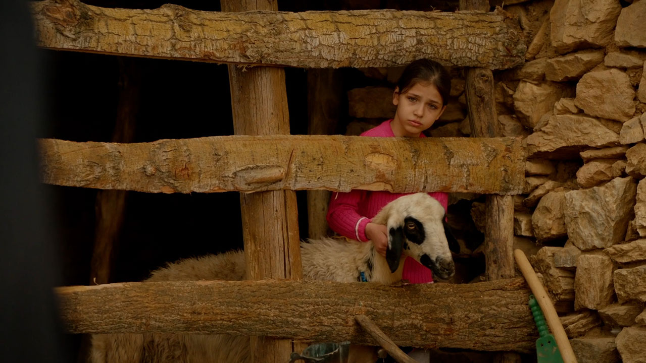 Adana Altın Koza’da yarışacak filmler belli oldu