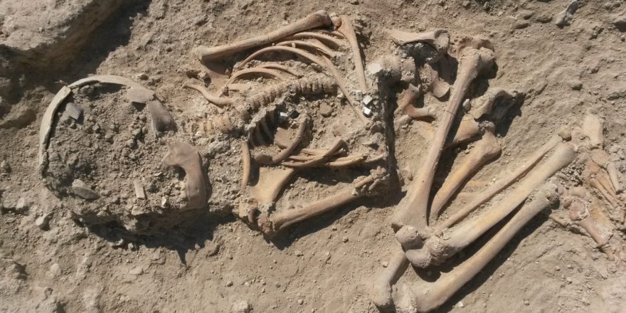 Arslantepe Höyüğünde 5700 yıllık çocuk iskeleti bulundu
