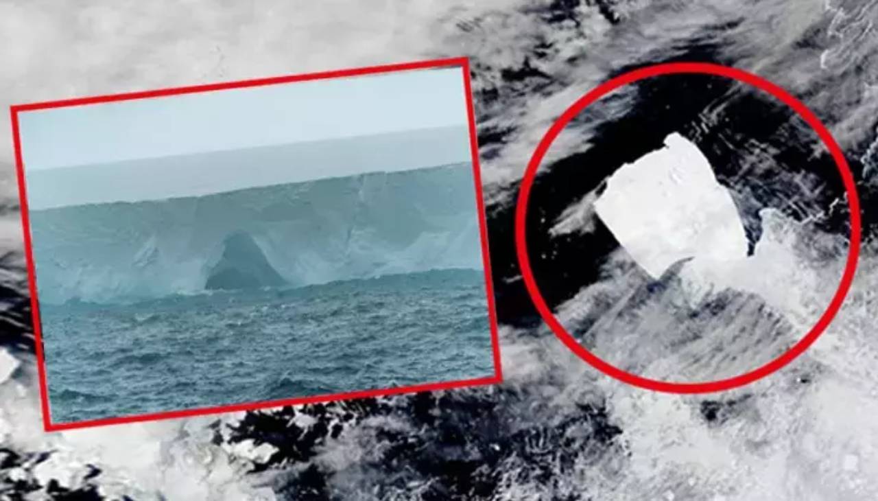 40 yıl boyunca hareketsizdi… Şimdi uyanıyor! Bilim dünyası tetikte