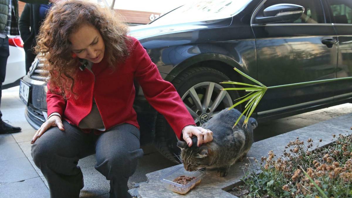 Karşıyaka'da 25 ton mama, can dostlar için toplandı