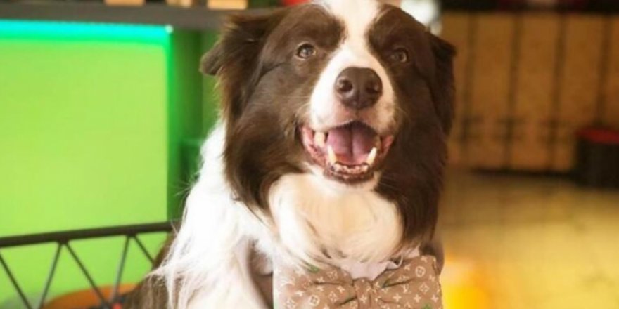 Yetenek Sizsiniz Türkiye birincisi Max öldü