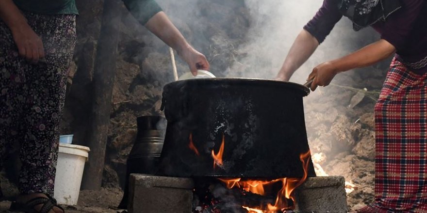 KOAH gelişiminde 'biyoyakıt dumanı' tehlikesi