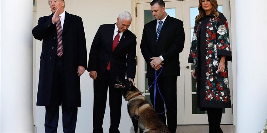 Trump, Bağdadi operasyonunda görevli köpeği ödüllendirdi!