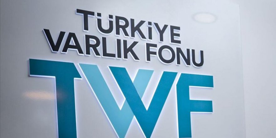 CHP'li Fethi Açıkel: "Varlık Fonu derman değil kambur oldu"