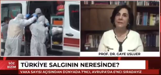 Prof. Dr. Gaye Usluer'den kritik uyarı: 2.dalga ile daha erken karşılaşırız