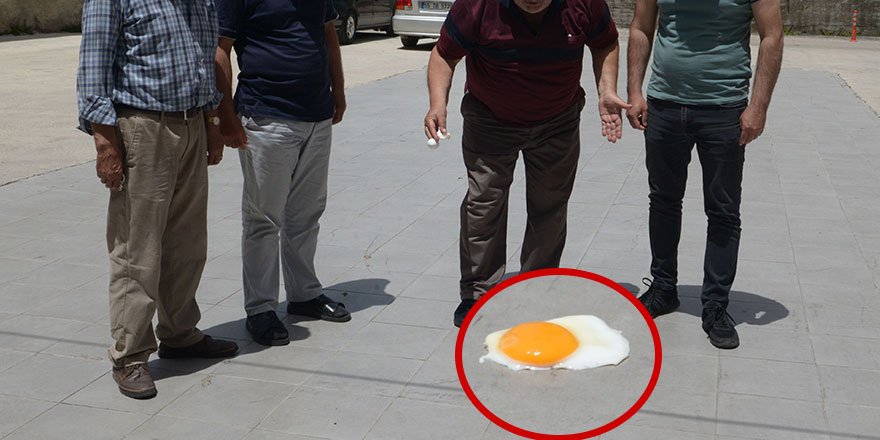 Adana'da tehlikeli sıcaklar: Sokakta yumurta pişirdiler, termometreler patladı