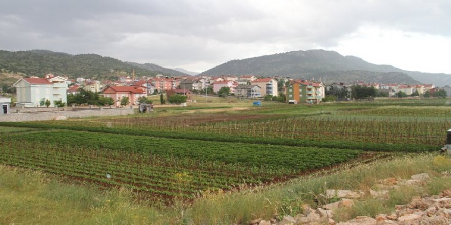 İşte hiç korona virüs görülmeyen ilçe