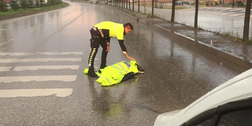 Türk polisi budur! Helal olsun sana...