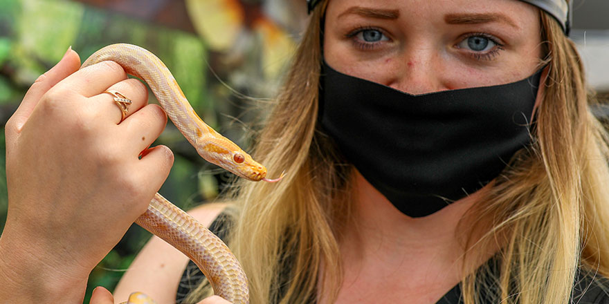 Albino piton yavrusu Antalya'nın maskotu oldu