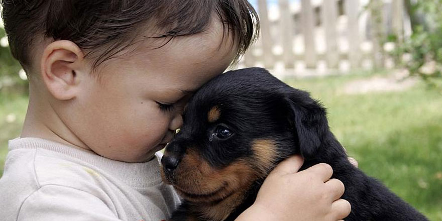 Köpekli ailede büyüyen çocuklar daha kolay sosyalleşiyor