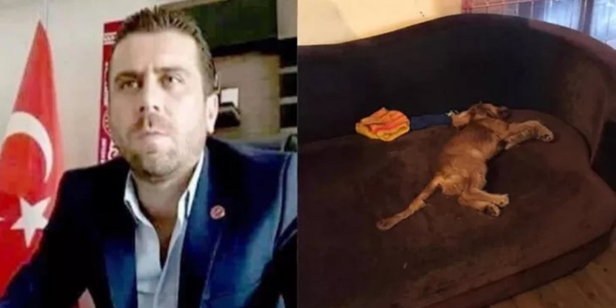 Günboyu duyurmuştu: Köpeğe tecavüz ederek öldüren Volkan Uzun tutuklandı!