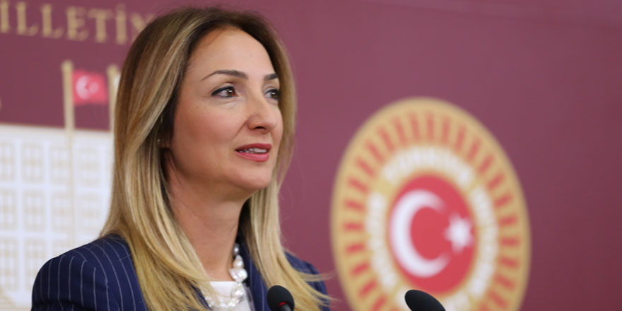 CHP'li Aylin Nazlıaka hakkında suç duyurusu