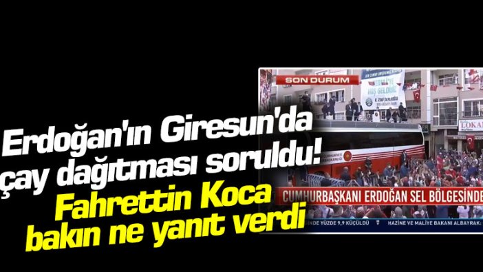 Erdoğan'ın Giresun'da çay dağıtması soruldu! Fahrettin Koca bakın ne yanıt verdi