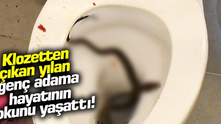 Klozetten çıkan yılan genç adama hayatının şokunu yaşattı!