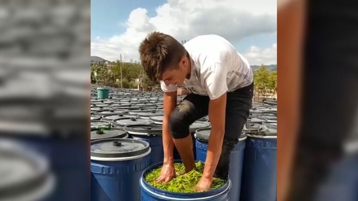 İnsan sağlığını hiçe sayıp biberleri ayaklarıyla ezen kişi cezasız kalmadı