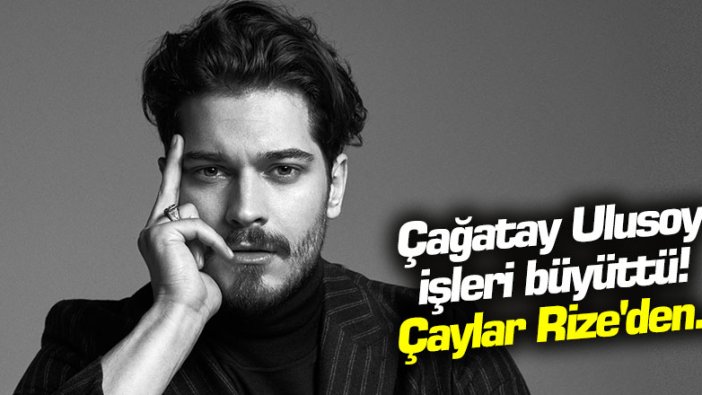 Çağatay Ulusoy işleri büyüttü! Çaylar Rize'den...