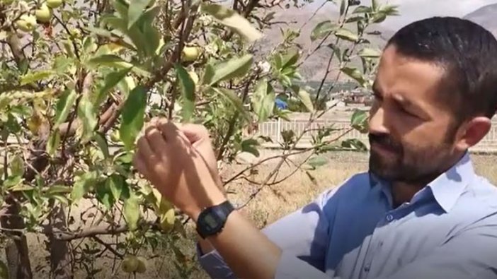 Erzincan'da şaşırtan görüntüler