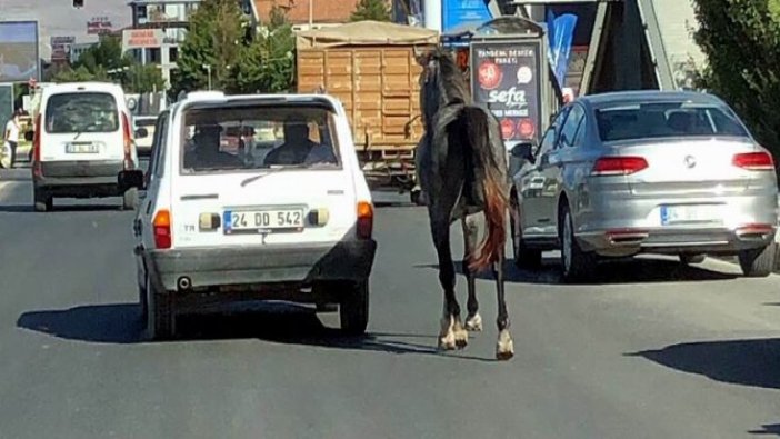 Vicdansızlığın böylesi: Atı kilometrelerce...