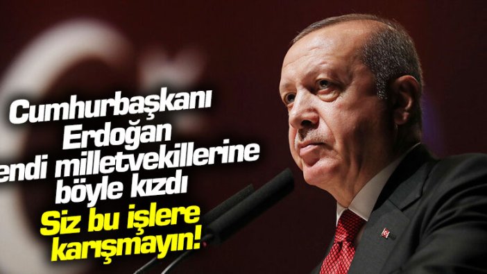 Cumhurbaşkanı Erdoğan kendi milletvekillerine böyle kızdı: Siz bu işlere karışmayın