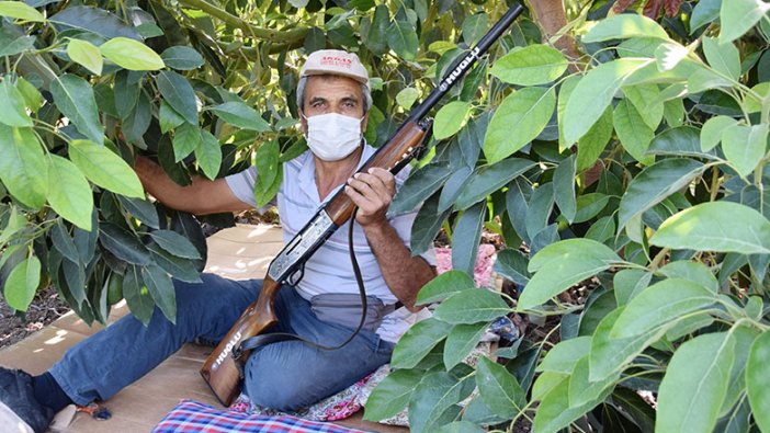 Hırsızlar onun peşinde! Tanesini 10 liradan satıyor