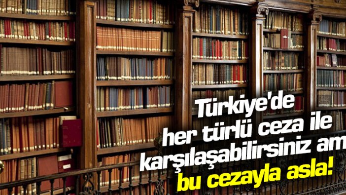 Türkiye'de her türlü ceza ile karşılaşabilirsiniz ama bu cezayla asla!