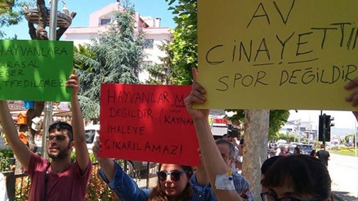 230 kurumdan ortak açıklama: Av cinayettir