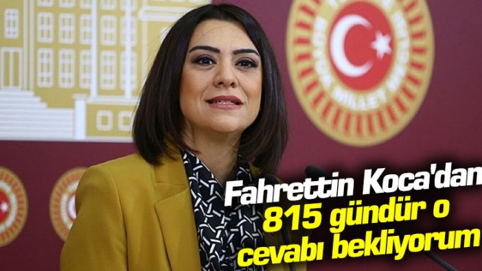 CHP'li Gamze Taşcıer: Fahrettin Koca'dan 815 gündür o cevabı bekliyorum