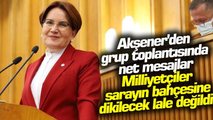 Meral Akşener: Milliyetçiler sarayın bahçesine dikilecek lale değildir