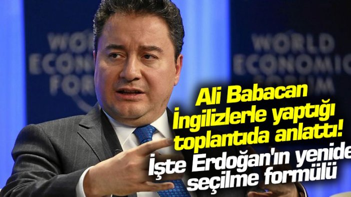 Ali Babacan İngilizlerle yaptığı toplantıda anlattı: İşte Erdoğan'ın yeniden seçilme formülü