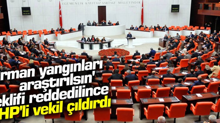  'Orman yangınları araştırılsın' teklifi reddedilince CHP'li vekil Suzan Şahin çıldırdı