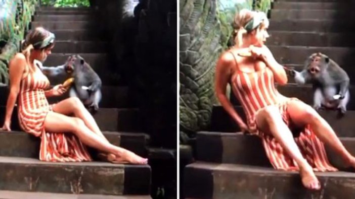 ABD'li model Sara Underwood Bali'de maymunun tacizine uğradı