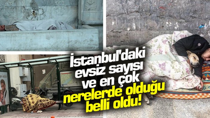 İstanbul'un evsizleri ve en çok nerelerde olduğu belli oldu