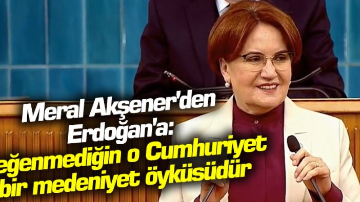 Meral Akşener'den Erdoğan'a: Beğenmediğin o Cumhuriyet, bir medeniyet öyküsüdür