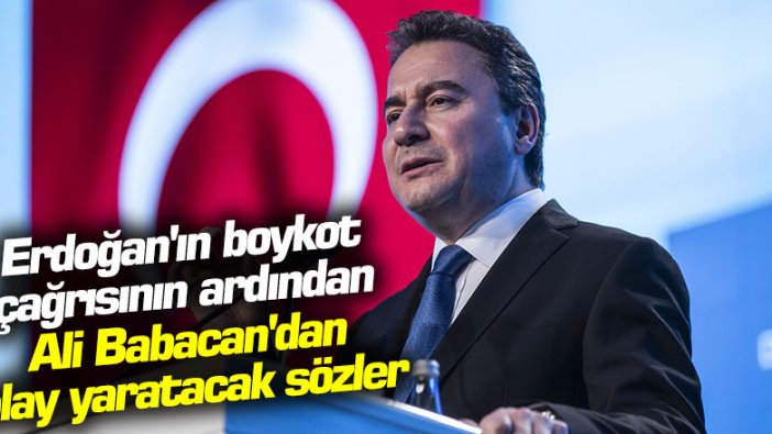 Erdoğan'ın boykot çağrısının ardından Ali Babacan'dan olay yaratacak sözler