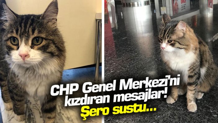 CHP Genel Merkezi'ni kızdıran mesajlar! Şero sustu...