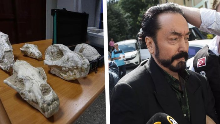 Adnan Oktar'ın villasında ele geçirilmişti... Fosillerin incelenmesi tamamlandı