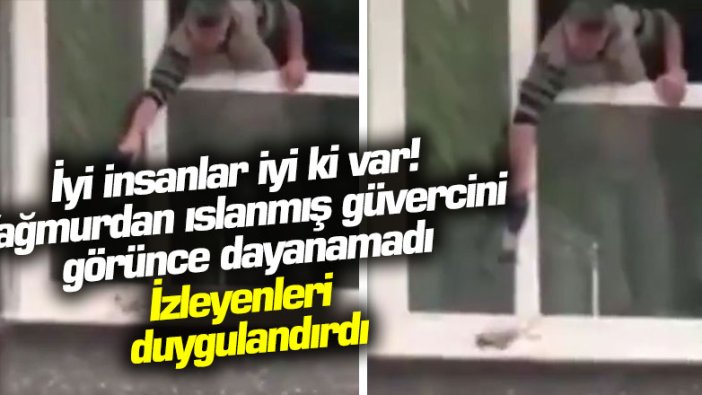 Yağmurdan ıslanmış güvercini saç kurutma makinesi ile...