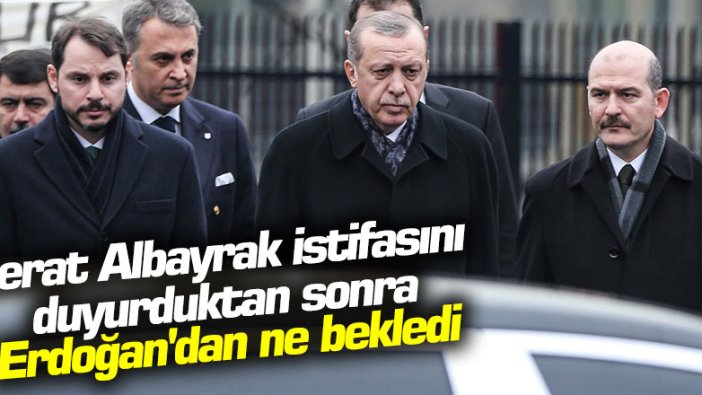 Fatih Altaylı'dan flaş iddia! Berat Albayrak istifasını duyurduktan sonra Erdoğan'dan ne bekledi?