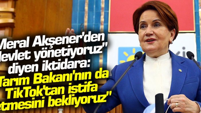 Meral Akşener’den "devlet yönetiyoruz" diyen iktidara: Tarım Bakanı'nın da TikTok'tan istifa etmesini bekliyoruz
