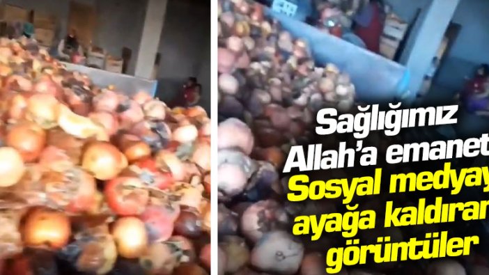 Bu görüntüleri izledikten sonra meyve suyu içerken iki kere düşüneceksiniz